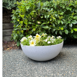 Planter - Nova Bowl