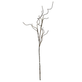 Curly Willow Branch 1.3m