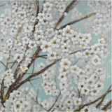 Art - White Blossom - Stretched Canvas