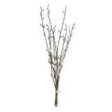 Pussy willow branch
