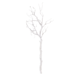 White Branch