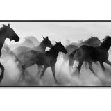 Art - Running wild