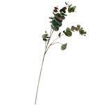 Eucalyptus Spray Green/Brown 98cm