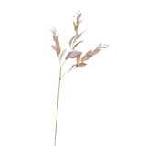 Garden Sage Spray 97cm