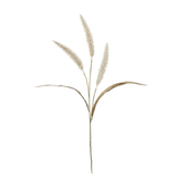 Fountain Grass 94cm Cream