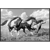 Art - Wild Horses 120 x 80