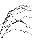 Willow Branch Light Brown 100cm