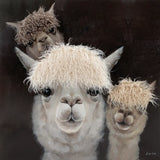 Art - 3 Alpaca